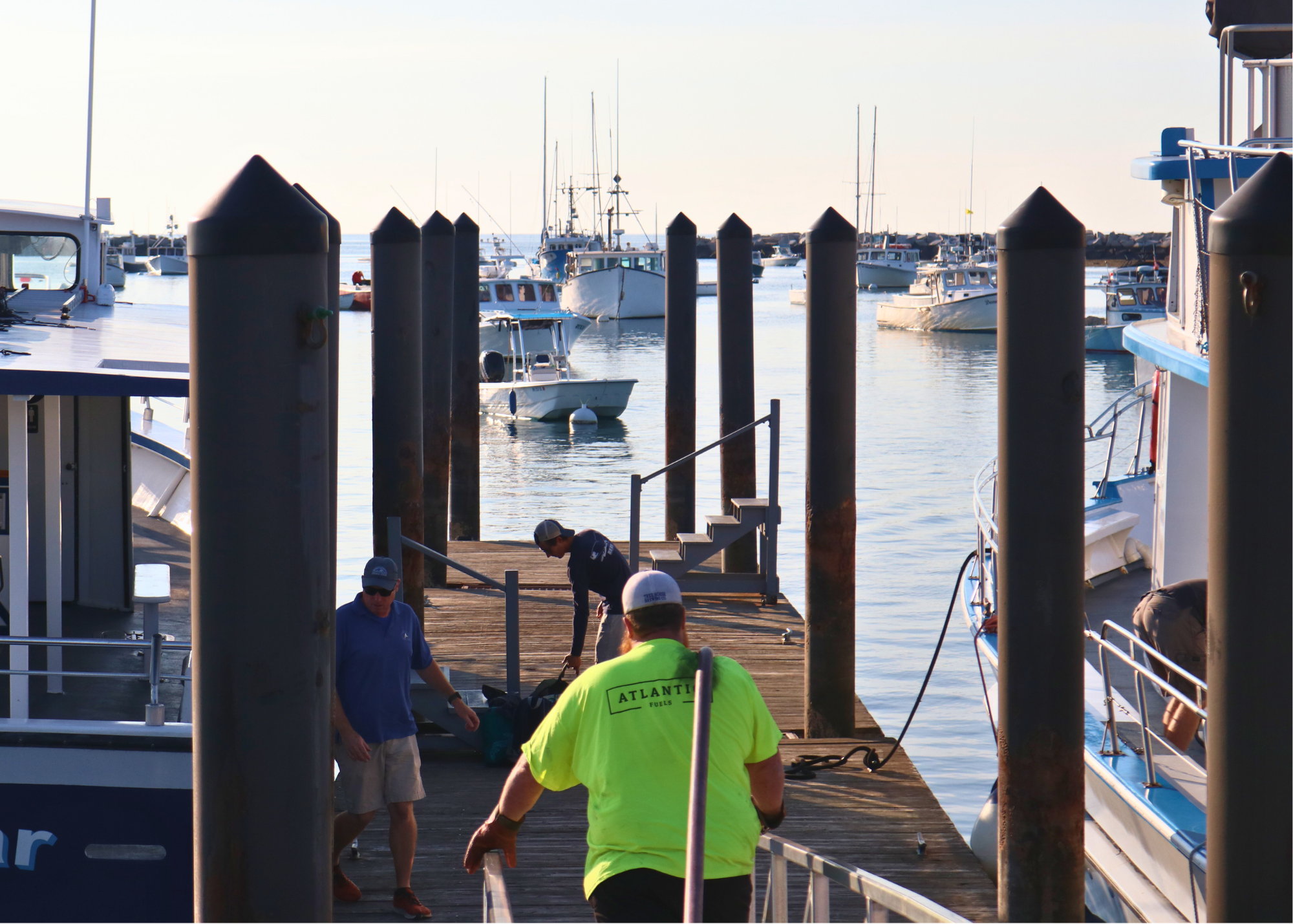 Untitled design (12)